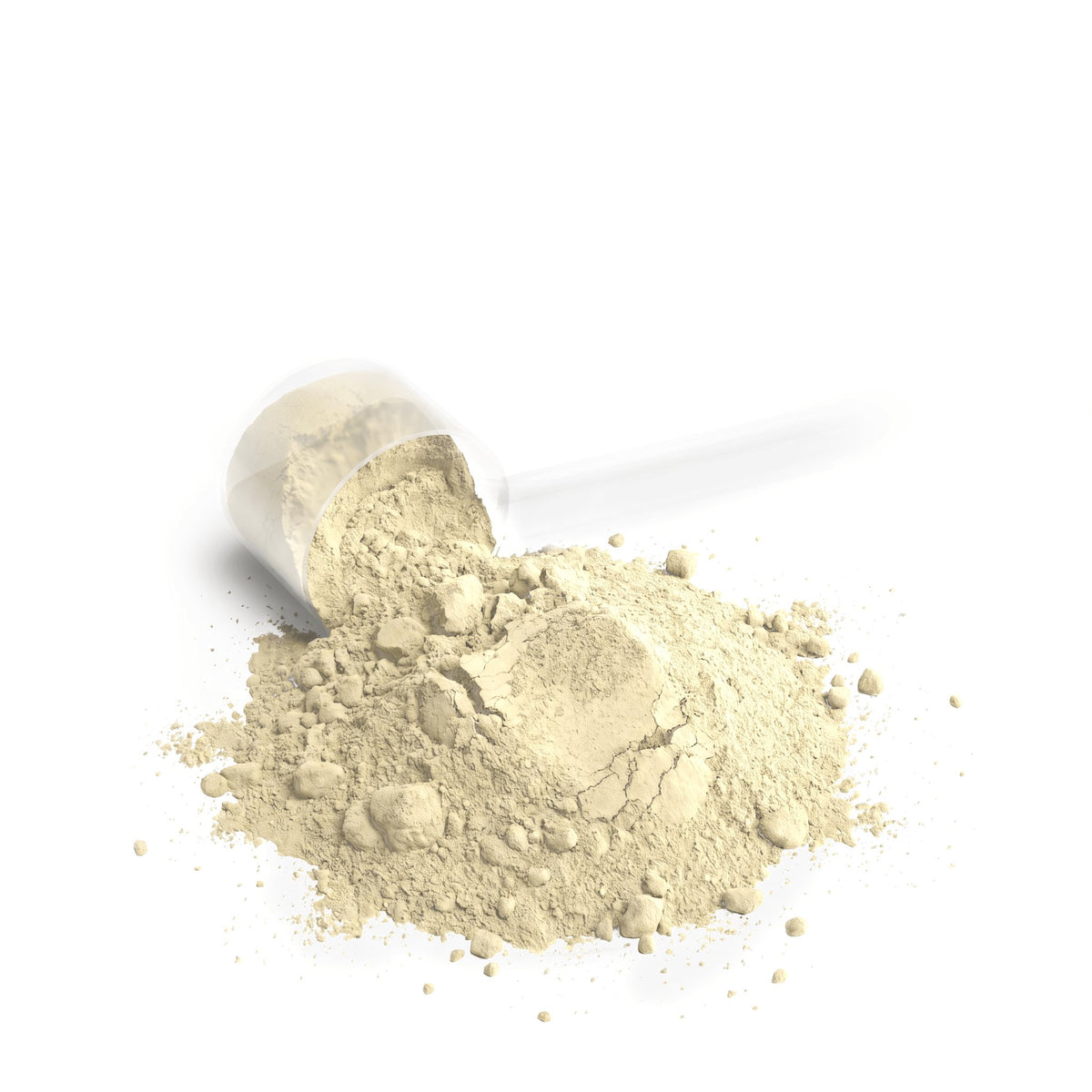 Performance Whey Protein Blend Vanilla powder scoop on a white background for muscle support and recovery.